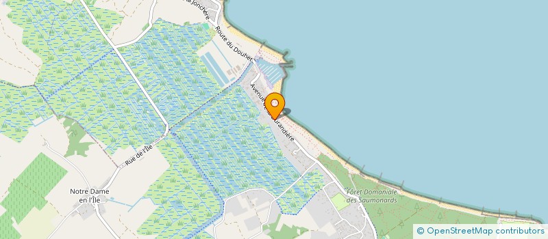 localisation de l'entreprise MONSIEUR JEAN-JACQUES SAIVEAU  SAINT-GEORGES-D'OLERON