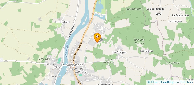 localisation de l'entreprise MONSIEUR JEAN JACQUES THEVENET  LEIGNES-SUR-FONTAINE