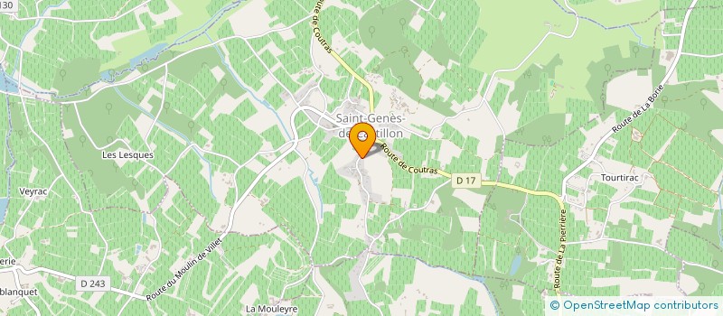 localisation de l'entreprise MONSIEUR JEAN JANTIEU  SAINT-GENES-DE-CASTILLON