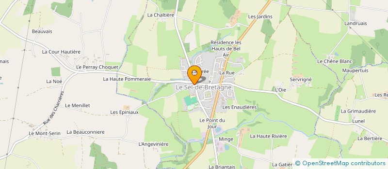 localisation de l'entreprise MONSIEUR JEAN JOLIVEL  LE SEL-DE-BRETAGNE