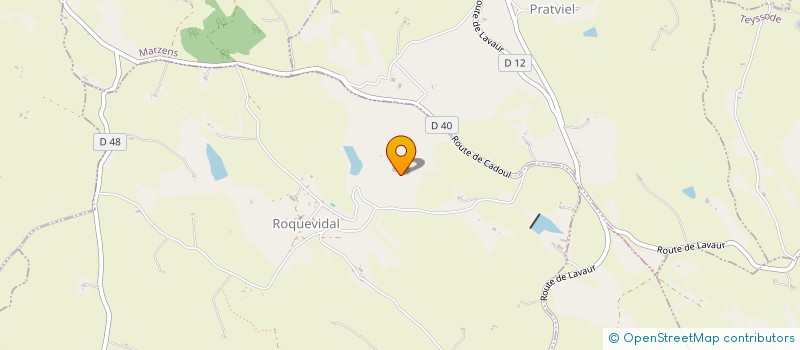 localisation de l'entreprise MONSIEUR JEAN JOULIA  ROQUEVIDAL