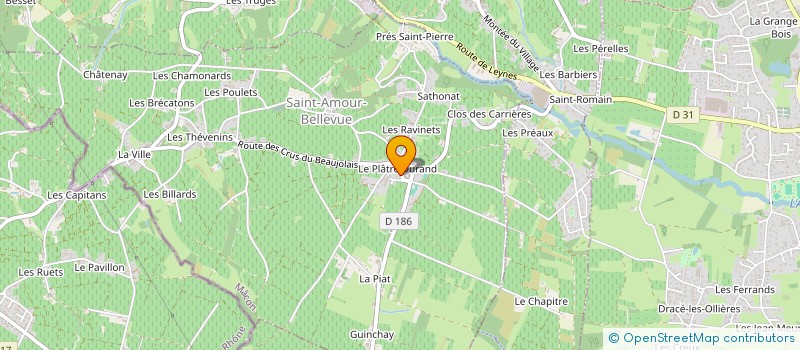 localisation de l'entreprise MONSIEUR JEAN JULLIN à CHASSELAS