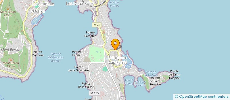 localisation de l'entreprise MONSIEUR JEAN LAFFINEUR à SAINT-JEAN-CAP-FERRAT