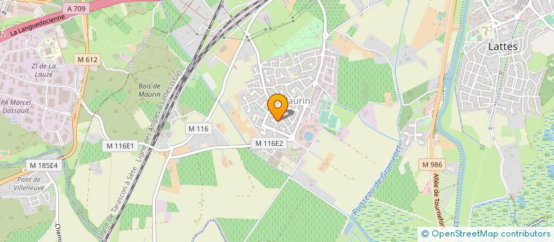 localisation de l'entreprise MONSIEUR JEAN LAURENT à PALAVAS-LES-FLOTS
