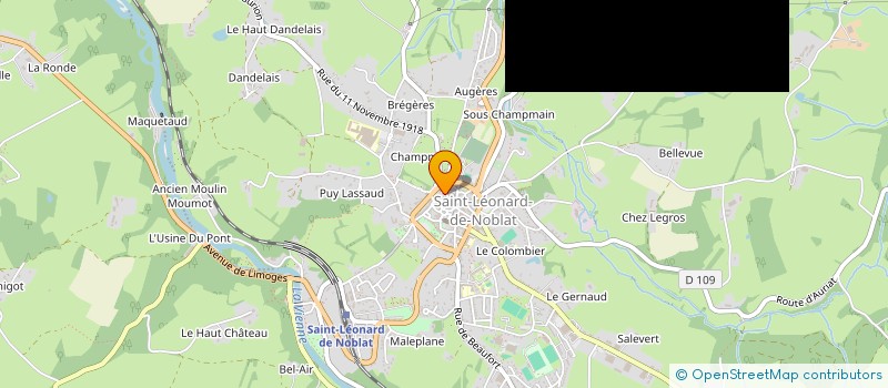 localisation de l'entreprise MONSIEUR JEAN-LAURENT FONCY  SAINT-LEONARD-DE-NOBLAT