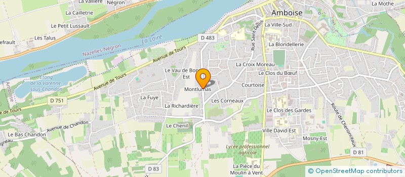 localisation de l'entreprise MONSIEUR JEAN LEDOGAR  AMBOISE