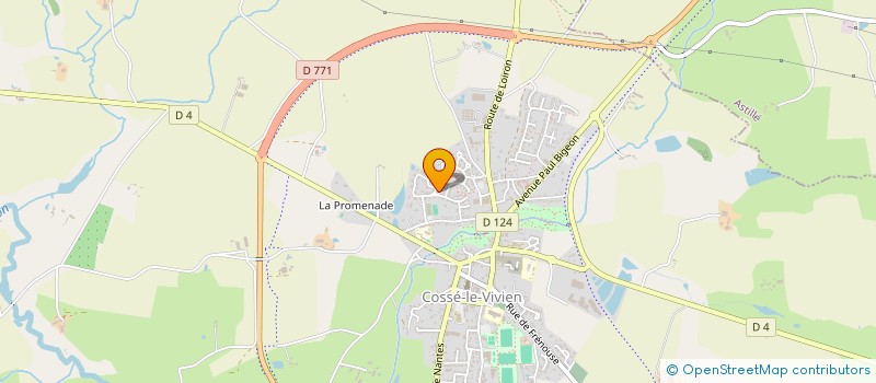 localisation de l'entreprise MONSIEUR JEAN-LOUIS AUDOIN  COSSE-LE-VIVIEN