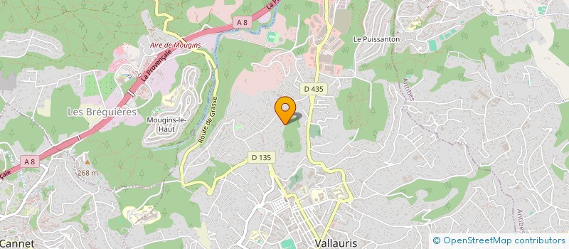 localisation de l'entreprise MONSIEUR JEAN LOUIS BIZZARI  CANNES