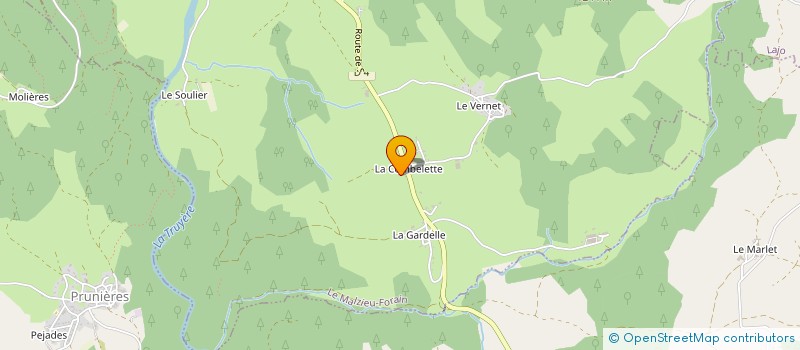 localisation de l'entreprise MONSIEUR JEAN-LOUIS BOUARD  LE MALZIEU-FORAIN