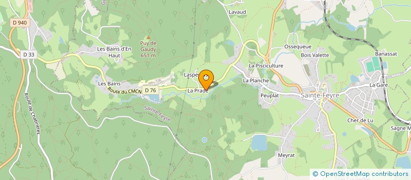 localisation de l'entreprise MONSIEUR JEAN-LOUIS DEMARGNE à SAINTE-FEYRE