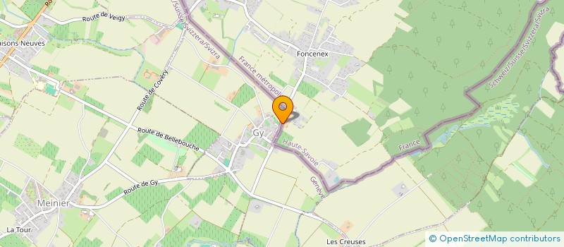 localisation de l'entreprise MONSIEUR JEAN LOUIS FOURNET  VEIGY-FONCENEX