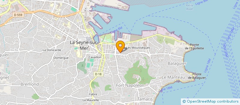 localisation de l'entreprise MONSIEUR JEAN LOUIS GOMEZ  LA SEYNE-SUR-MER