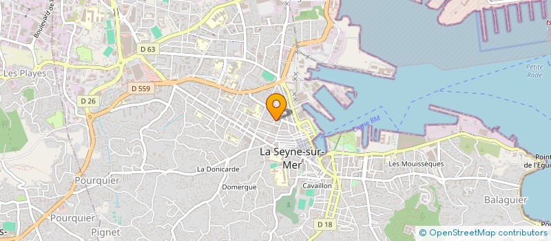 localisation de l'entreprise MONSIEUR JEAN-LOUIS NAUX  LA SEYNE-SUR-MER