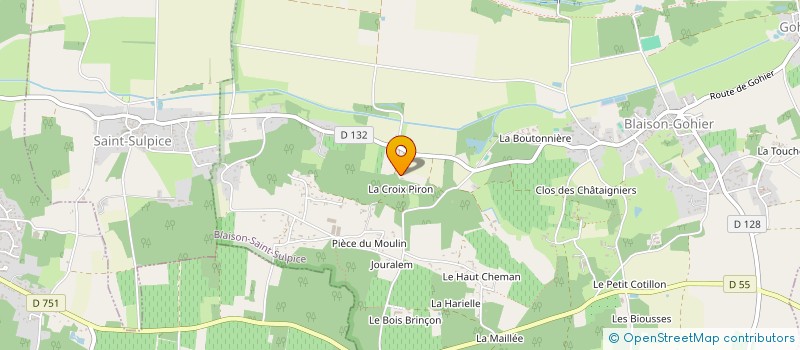 localisation de l'entreprise MONSIEUR JEAN-LOUIS NIVELLEAU  BLAISON-SAINT-SULPICE