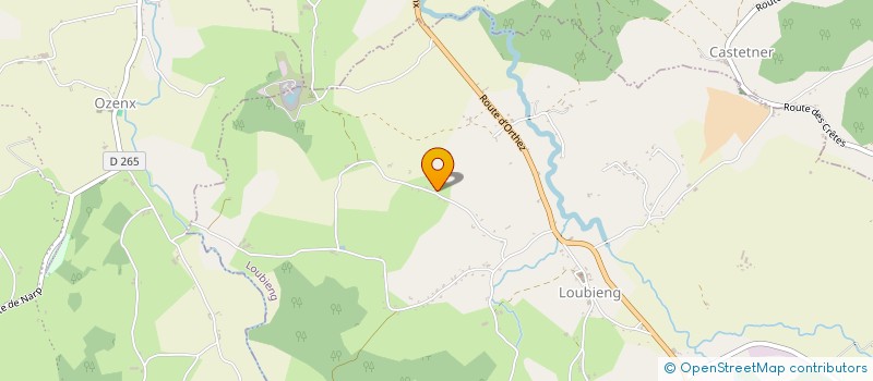 localisation de l'entreprise MONSIEUR JEAN LOUIS TESTEGUTTE  LOUBIENG