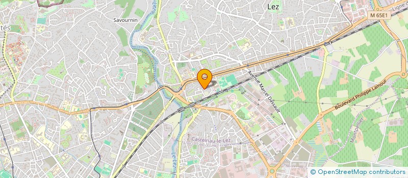 localisation de l'entreprise MONSIEUR JEAN LOUIS TOUYAA LAMAZOU à CASTELNAU-LE-LEZ