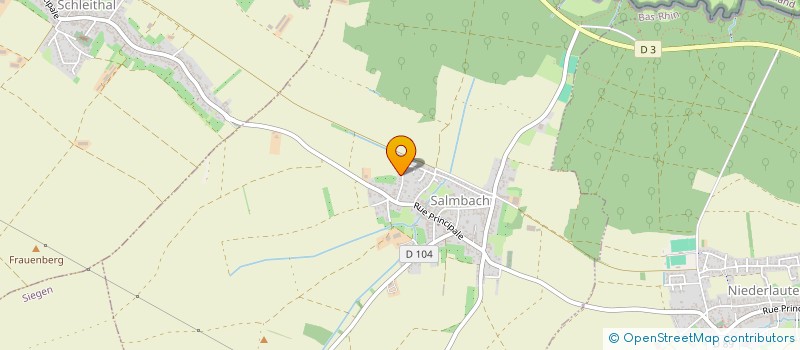 localisation de l'entreprise MONSIEUR JEAN LUC DENNINGER  SALMBACH