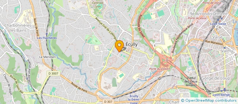 localisation de l'entreprise MONSIEUR JEAN-LUC FICARELLI  ECULLY