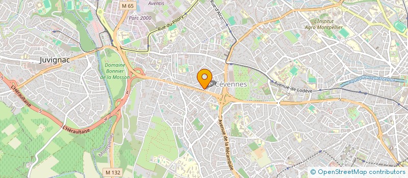 localisation de l'entreprise MONSIEUR JEAN-LUC GRENCHO à MONTPELLIER