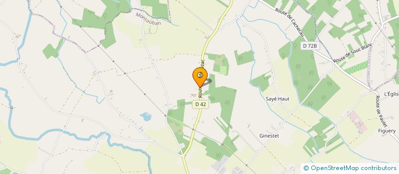 localisation de l'entreprise MONSIEUR JEAN LUC LE BACHELIER  LA VILLE-DIEU-DU-TEMPLE