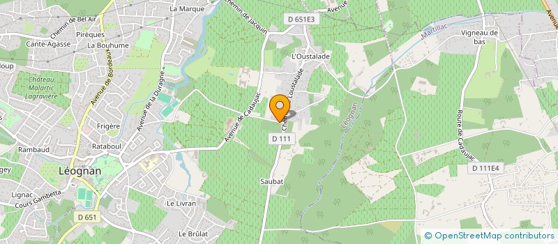 localisation de l'entreprise MONSIEUR JEAN-LUC MASSON  LEOGNAN