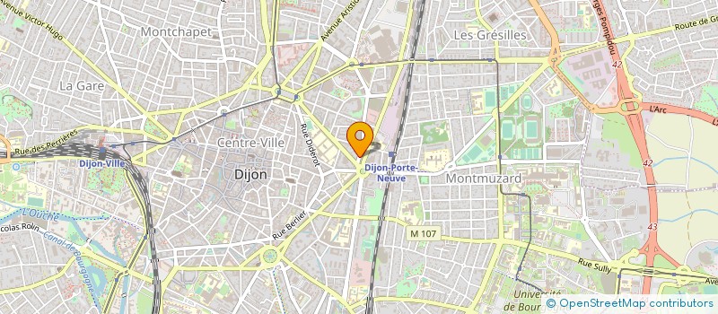 localisation de l'entreprise MONSIEUR JEAN-LUC RIVA à DIJON