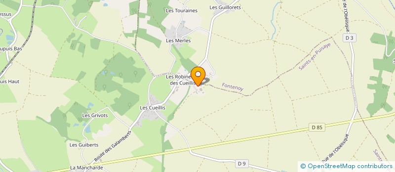 localisation de l'entreprise MONSIEUR JEAN-LUC ROBIN à SAINTS-EN-PUISAYE