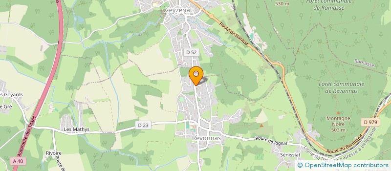 localisation de l'entreprise MONSIEUR JEAN MAINEULT  REVONNAS