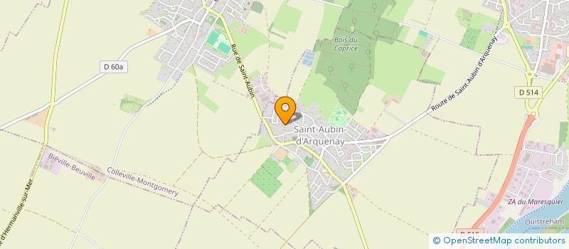 localisation de l'entreprise MONSIEUR JEAN-MARC BASSETTI  SAINT-AUBIN-D'ARQUENAY