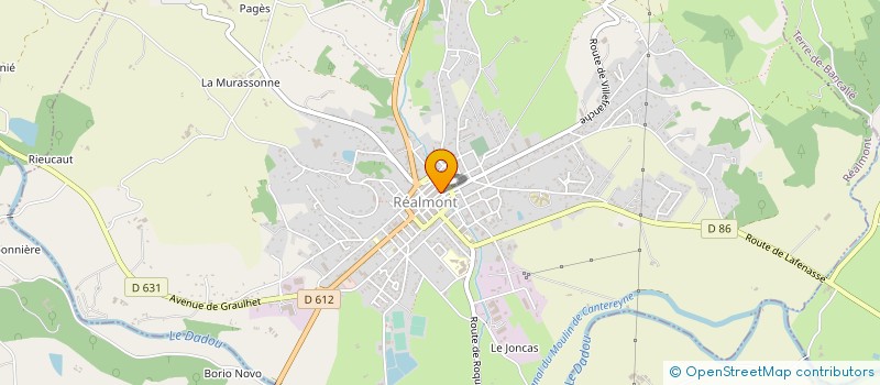 localisation de l'entreprise MONSIEUR JEAN-MARC HOLLENDER à REALMONT