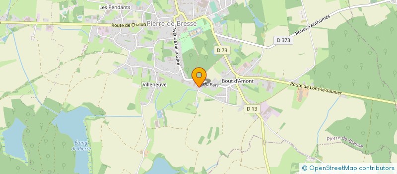 localisation de l'entreprise MONSIEUR JEAN-MARC MANGIN  PIERRE-DE-BRESSE