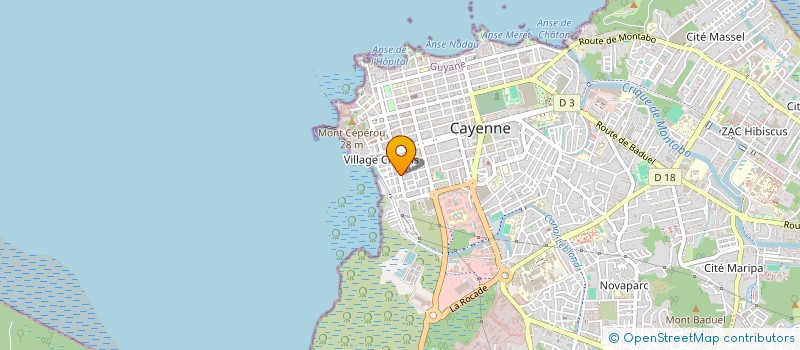 localisation de l'entreprise MONSIEUR JEAN-MARC MICHEL  CAYENNE