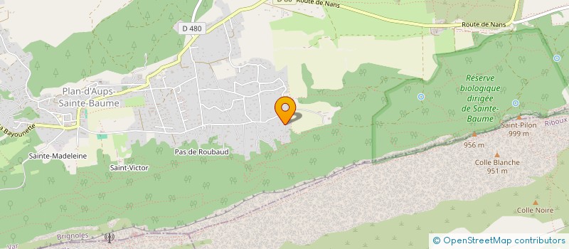 localisation de l'entreprise MONSIEUR JEAN-MARC MONOT  PLAN-D'AUPS-SAINTE-BAUME