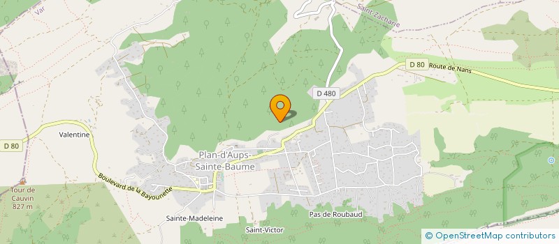 localisation de l'entreprise MONSIEUR JEAN-MARC THENOUX à PLAN-D AUPS SAINTE BAUME