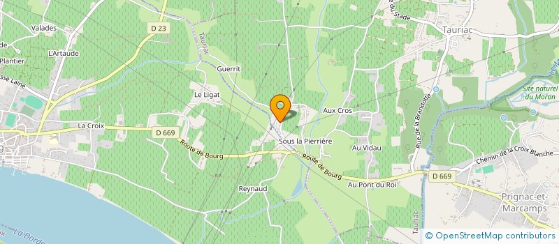 localisation de l'entreprise MONSIEUR JEAN-MARC VALENTIN  PUGNAC