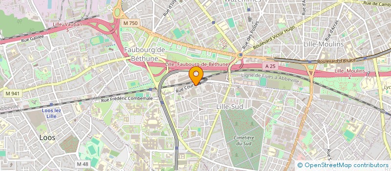 localisation de l'entreprise MONSIEUR JEAN-MARC WOLF  LILLE