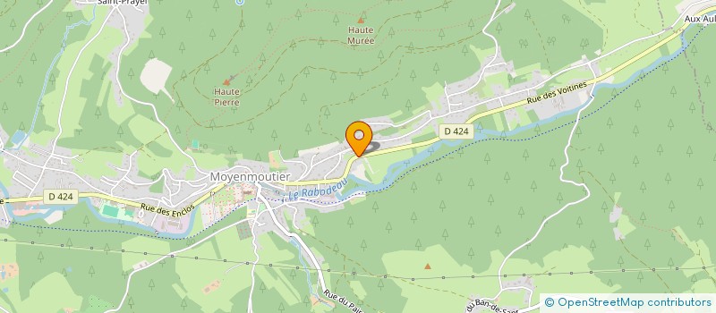 localisation de l'entreprise MONSIEUR JEAN MARIE BADEROT  MOYENMOUTIER