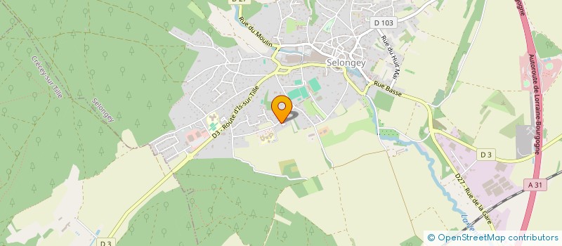 localisation de l'entreprise MONSIEUR JEAN-MARIE CHEVEAU à SELONGEY