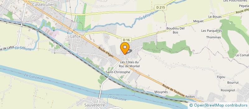 localisation de l'entreprise MONSIEUR JEAN-MARIE CHINI  LAFOX