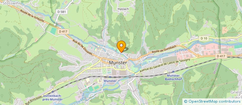 localisation de l'entreprise MONSIEUR JEAN-MARIE ENTZMANN  MUNSTER