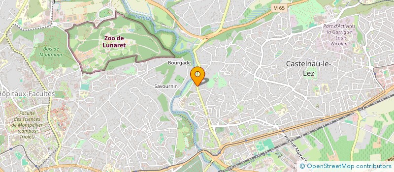 localisation de l'entreprise MONSIEUR JEAN-MARIE LAUZIER à CASTELNAU-LE-LEZ