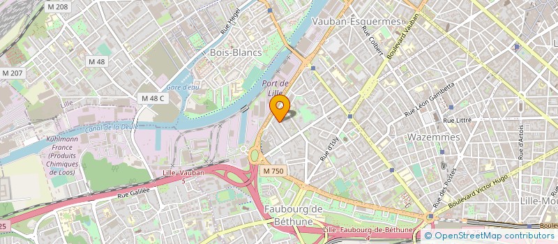 localisation de l'entreprise MONSIEUR JEAN-MARIE MAAS à LILLE