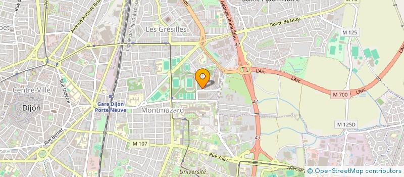 localisation de l'entreprise MONSIEUR JEAN MARIE MOSENGO ODIA à DIJON