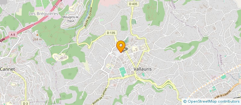 localisation de l'entreprise MONSIEUR JEAN-MARIE PERROT à VALLAURIS