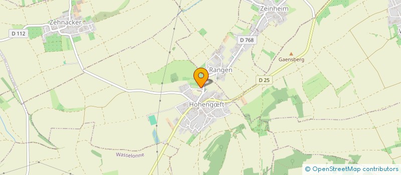localisation de l'entreprise MONSIEUR JEAN MARIE RITLENG  HOHENGOEFT