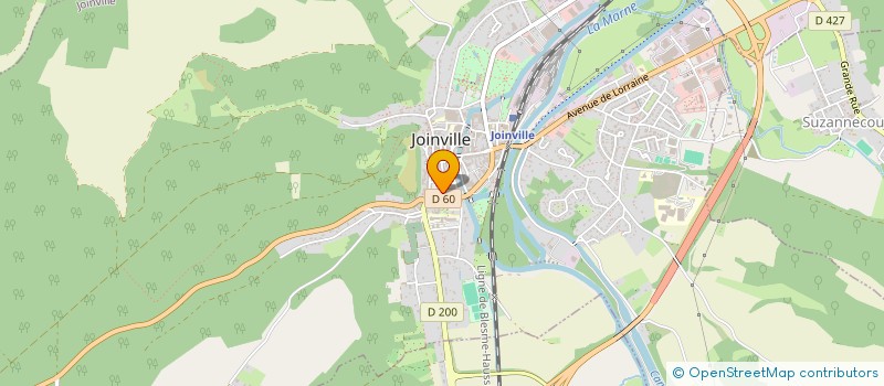 localisation de l'entreprise MONSIEUR JEAN MARTIN à JOINVILLE