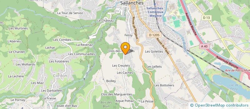 localisation de l'entreprise MONSIEUR JEAN MARTIN  SALLANCHES