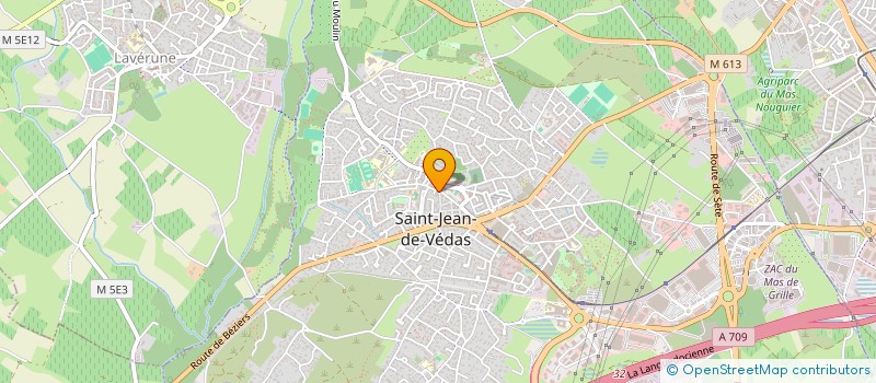 localisation de l'entreprise MONSIEUR JEAN MARTIN  SAINT-JEAN-DE-VEDAS