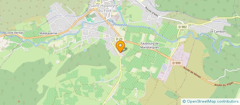 localisation de l'entreprise MONSIEUR JEAN MARTIN  SAINT-HIPPOLYTE-DU-FORT