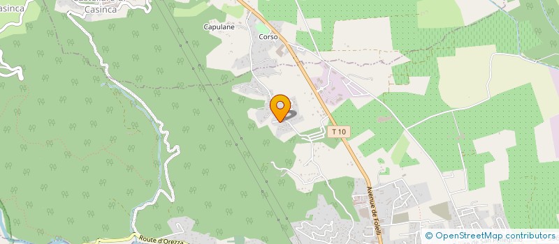 localisation de l'entreprise MONSIEUR JEAN-MATHIEU COZZANI  PENTA-DI-CASINCA